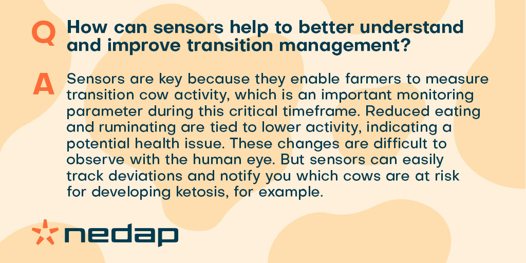 Arnold Harbers sat down with @DairyGlobal to discuss what makes a good sensor and answer some big industry questions.

Here’s what he had to say: bit.ly/3q8pX6q   

#AgTwitter #DairyTech #Data