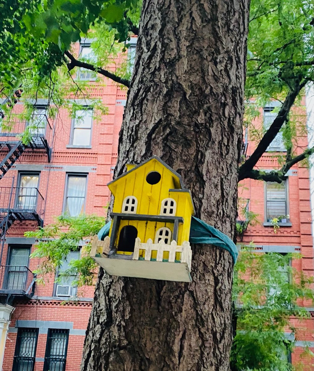 Someone is going around NYC hanging up these little birdhouses and I’m dead now