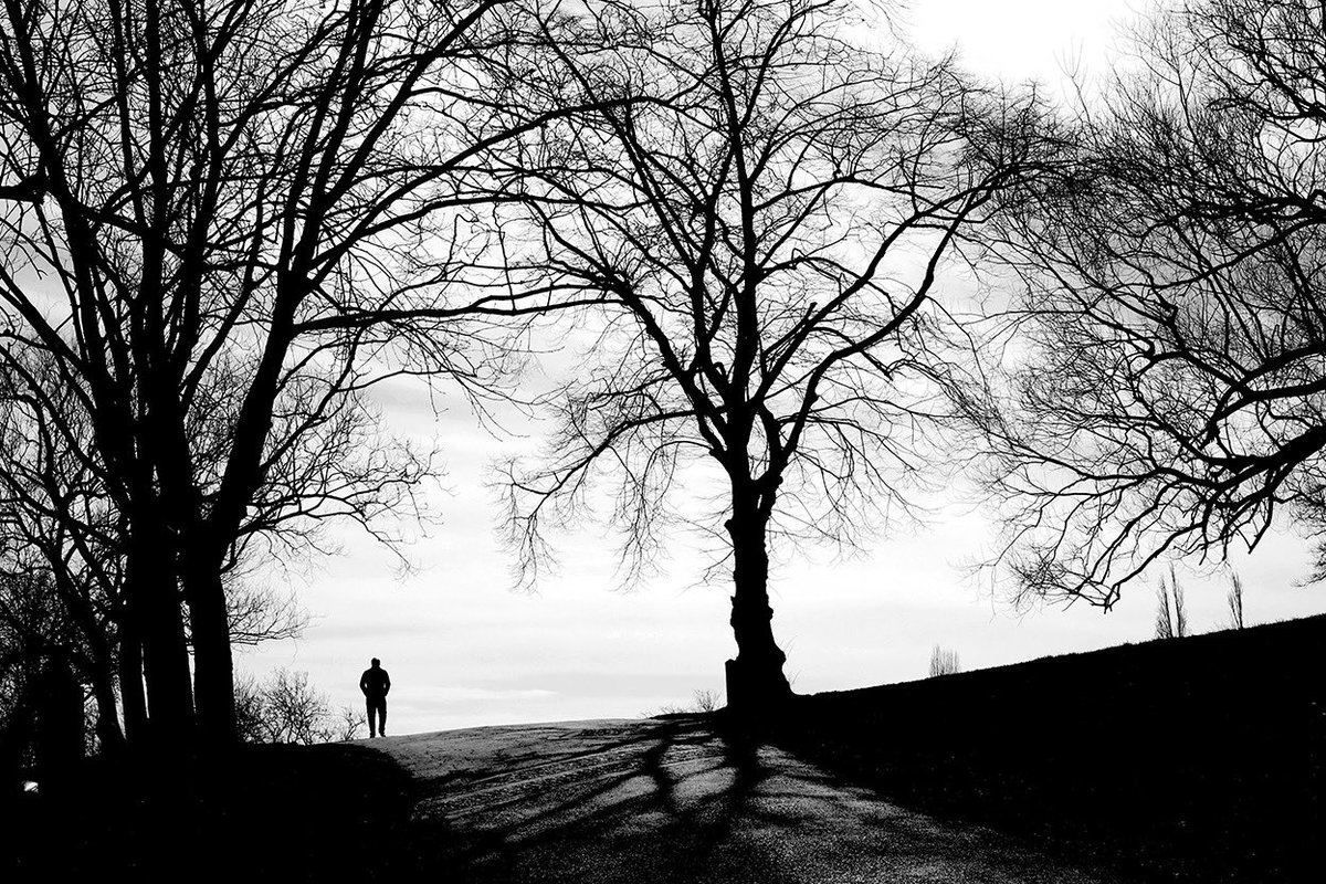 Hampstead Heath, London
#streetphotography #bnwphoto #lensculturestreets #nft #nftart

rarible.com/s_idir/owned