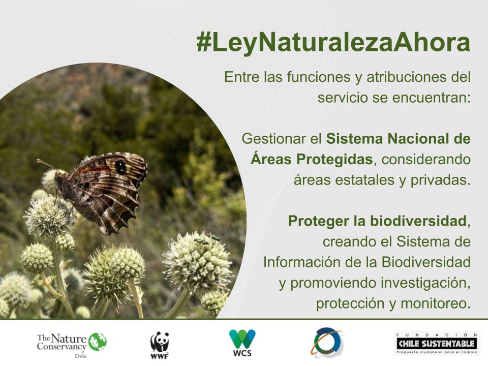 The Nature Conservancy Chile tweet media
