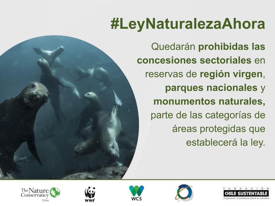 The Nature Conservancy Chile tweet media