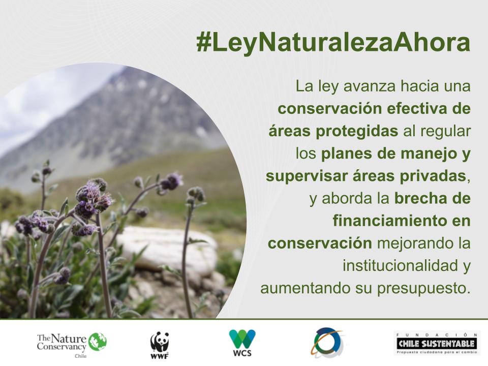 The Nature Conservancy Chile tweet media