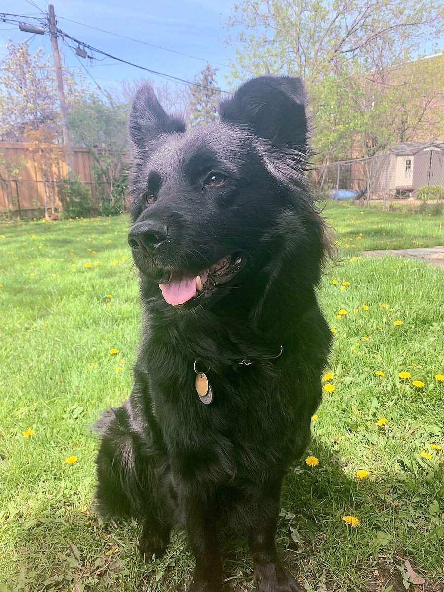 He's so proud of our #HumberGrad