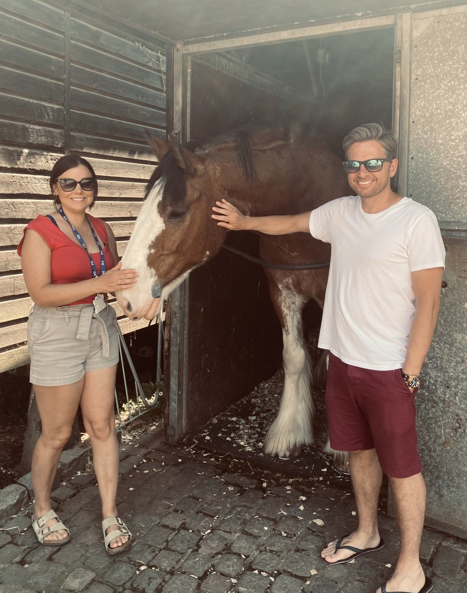 TomGaymor's tweet photo. We have @CityHorses on our doorstep so it was lovely to pop in and visit this afternoon to learn about their extensive training and vital roles within policing London 👏🏼 This is PH Andy (1st pic) who is about to undertake his first ever shift on duty next week 🐴 #CoLP https://t.co/LAGeohh6x1