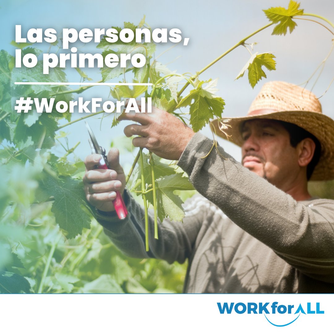 WorkforAll_ETT's tweet photo. LAS PERSONAS, LO PRIMERO 👩‍🏭👷 El empleo que estás buscando lo tienes de la mano de #WorkForAll

#Murcia #Cartagena #Lorca #Molina #staffing #recruitment #jobs #trabajo #empleo #vacantes #cv #rrhh #profesion #economía #formación #seguridadlaboral https://t.co/eaRNaR9JmQ