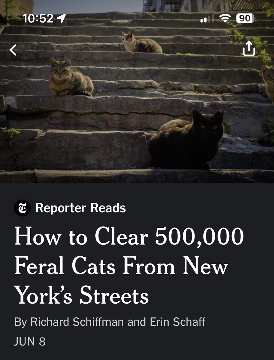 clarkeLsmith's tweet image. Why get rid of the cats? Just place them in the most #Ratinfested #NYC streets to take care of that problem.