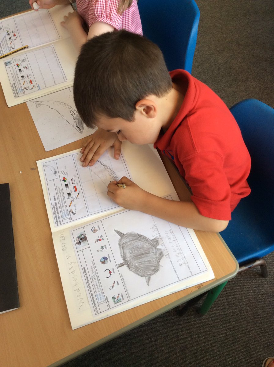 MaundeneSchool's tweet photo. Kestrels have been working on creating observational drawings in art this week. We have been looking closely at a picture of a whale and then using the grid method to recreate our own pictures. #year1 #kestrels #art #observationaldrawings https://t.co/RQksX47c3p