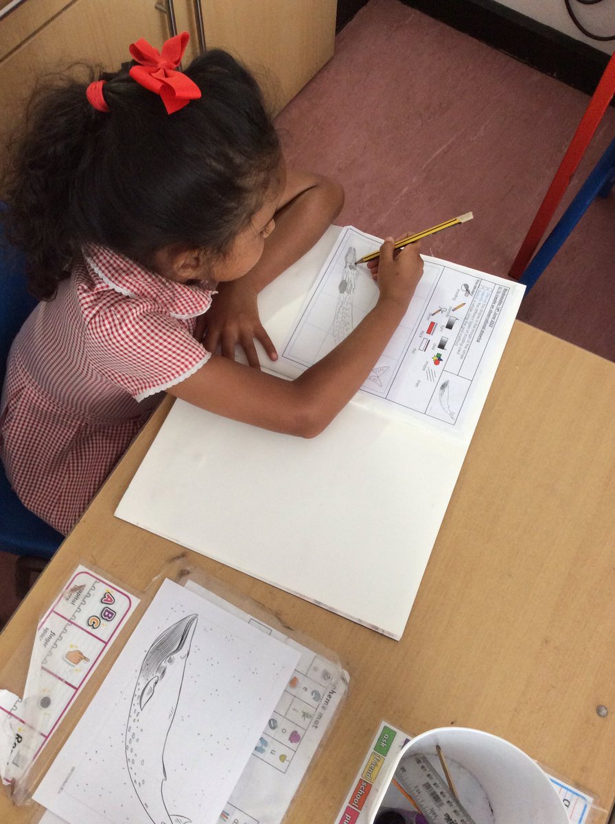 MaundeneSchool's tweet photo. Kestrels have been working on creating observational drawings in art this week. We have been looking closely at a picture of a whale and then using the grid method to recreate our own pictures. #year1 #kestrels #art #observationaldrawings https://t.co/RQksX47c3p