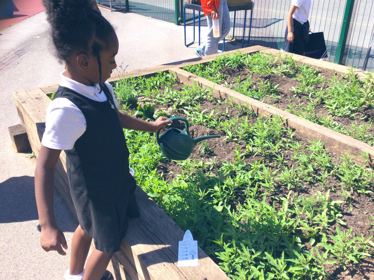 RPAReception's tweet photo. Thank you to our wonderful parents and children for bringing beautiful plants to our plant and stay session after school 🪴🌞 #brightfutures #rushbrookfamily #eyfs #plantandstay https://t.co/LhhyseaXfh