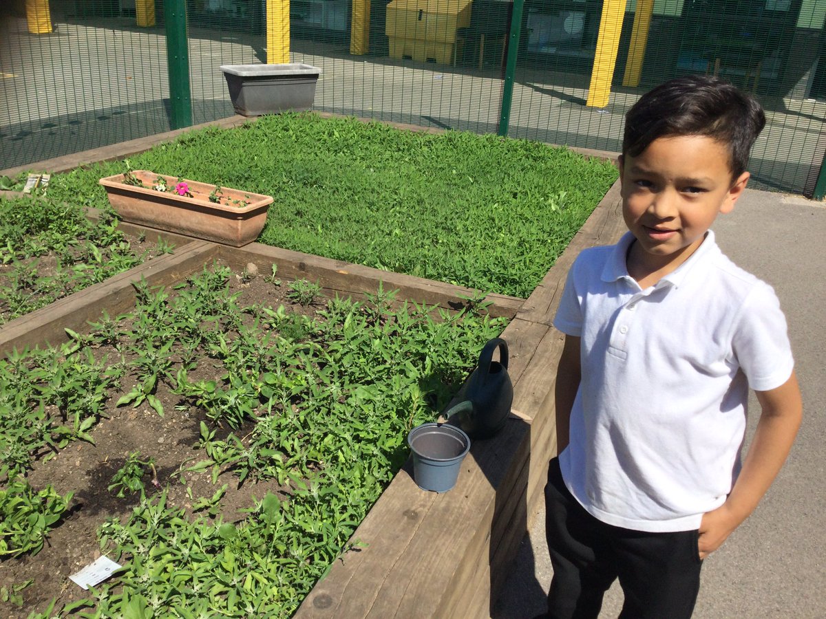RPAReception's tweet photo. Thank you to our wonderful parents and children for bringing beautiful plants to our plant and stay session after school 🪴🌞 #brightfutures #rushbrookfamily #eyfs #plantandstay https://t.co/LhhyseaXfh
