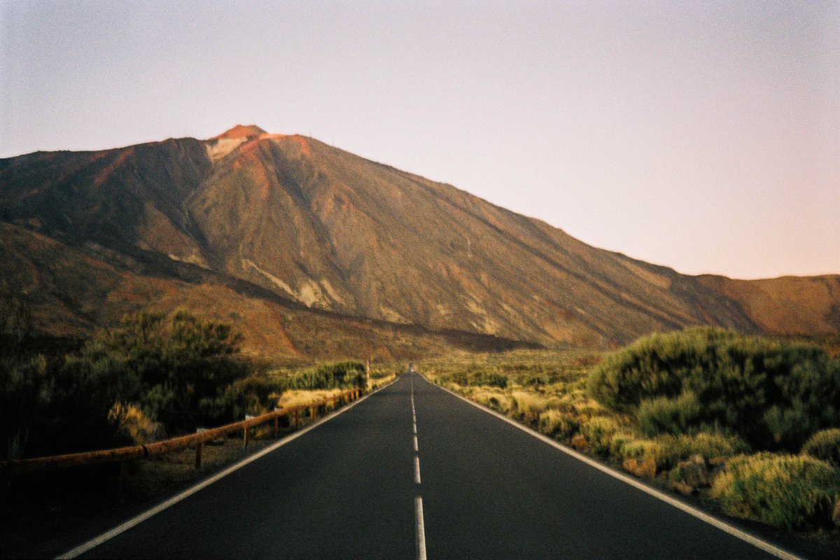 Giulia Gartner tweet media