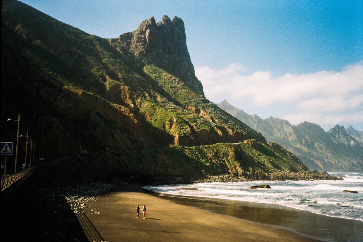 Giulia Gartner tweet media