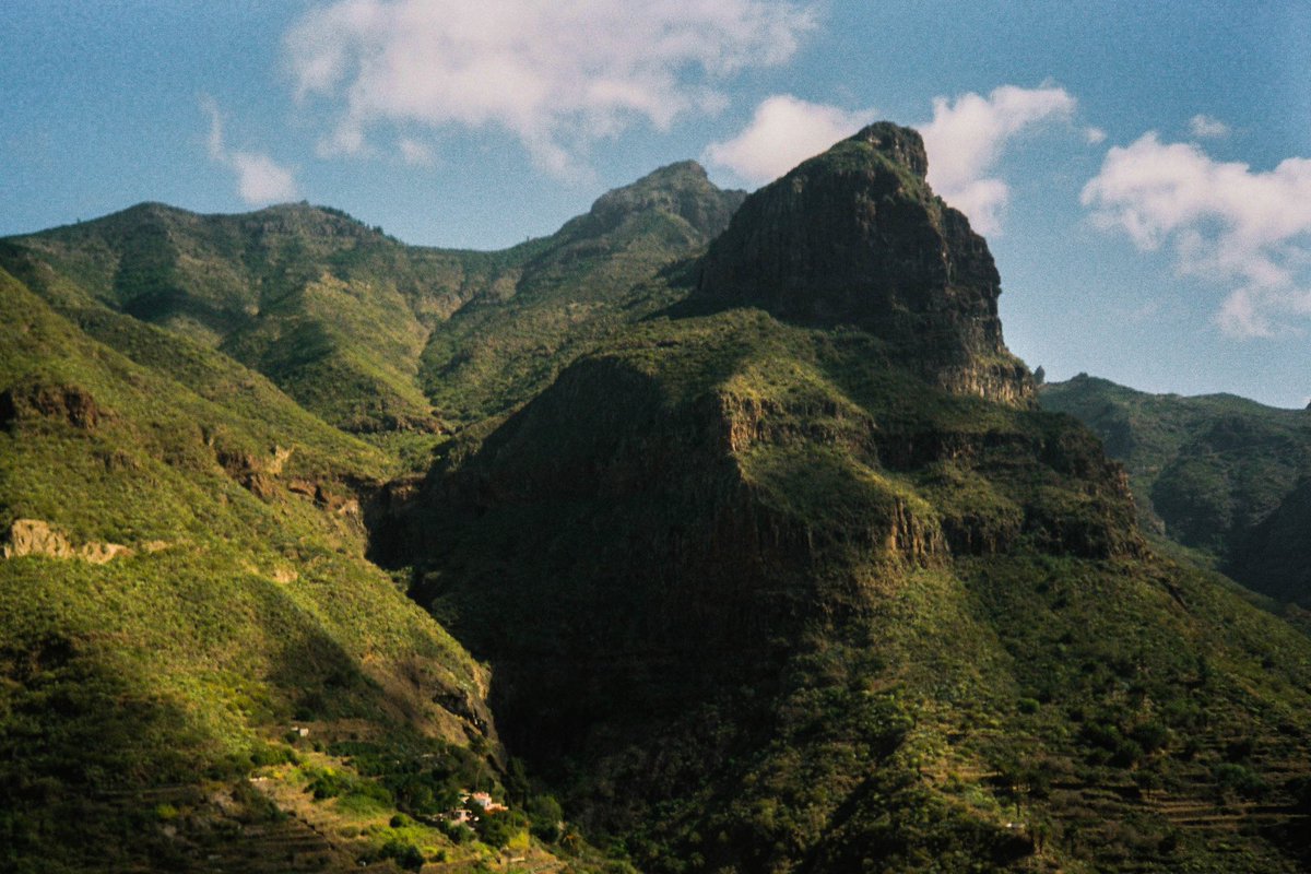 Gm, I think summer is here 👀☀️