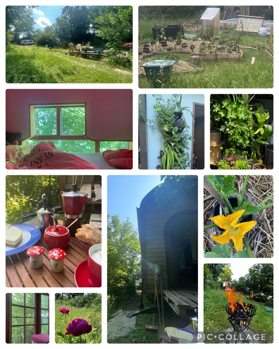 See our #permaculture and #tinyhouse project running