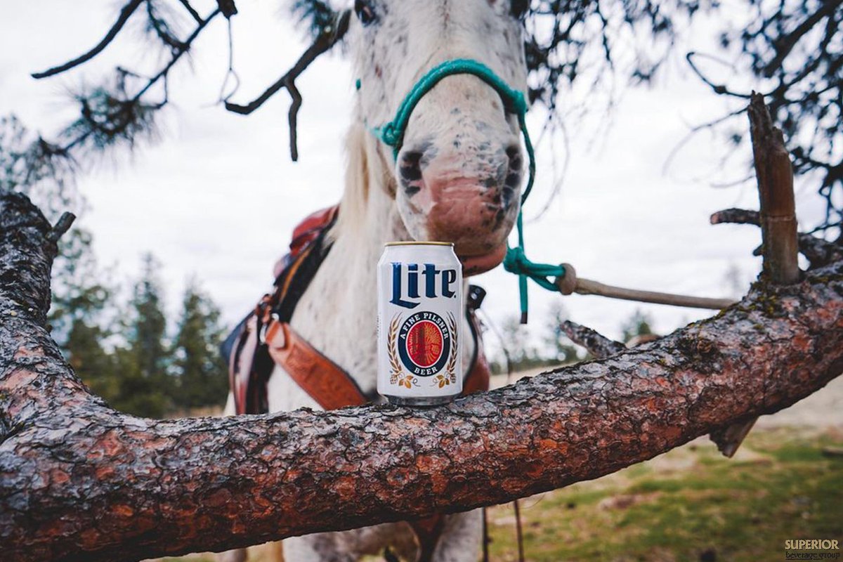 Here, you’ve earned this today.

#molsoncoors #millerlite #itsmillertime #mlb #summervibes #baseball #cheers #superiorbeveragegroup #SBG

Drink responsibly, must be 21 years or older.