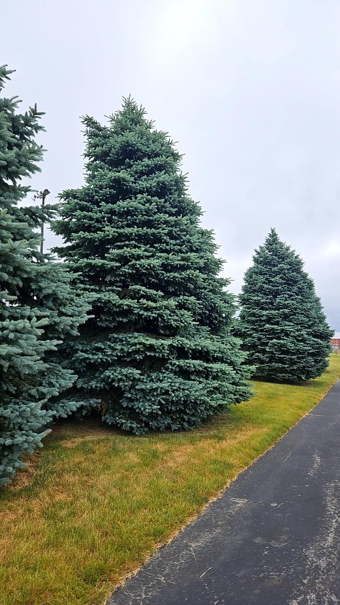 ghostrunner414's tweet image. Plankton414 found #cubiecoin in a Blue vault at this location! Join me playing #coinhuntworld, It's awesome! coinhunt.gsc.im/lKrmSXXp8v #cryptocurrency #2919273