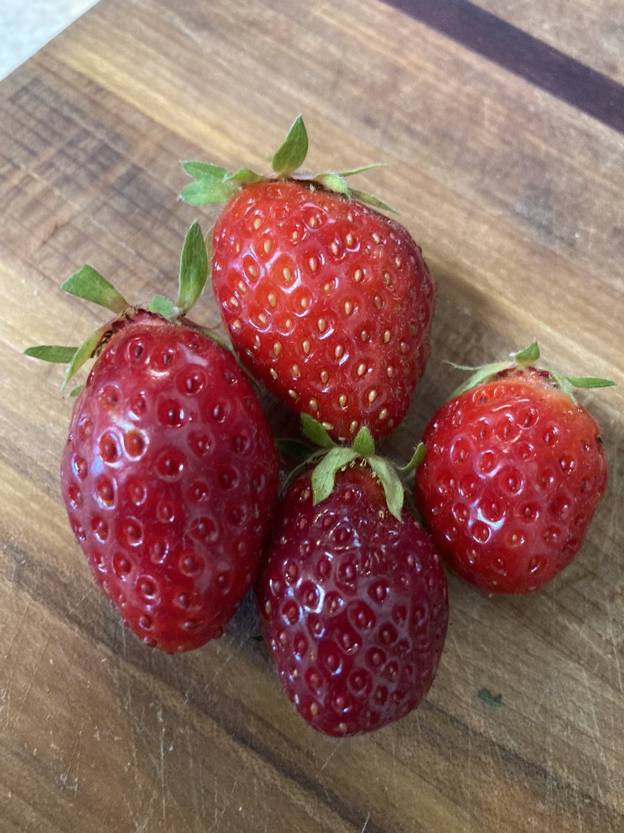 The fruits of summer solstice