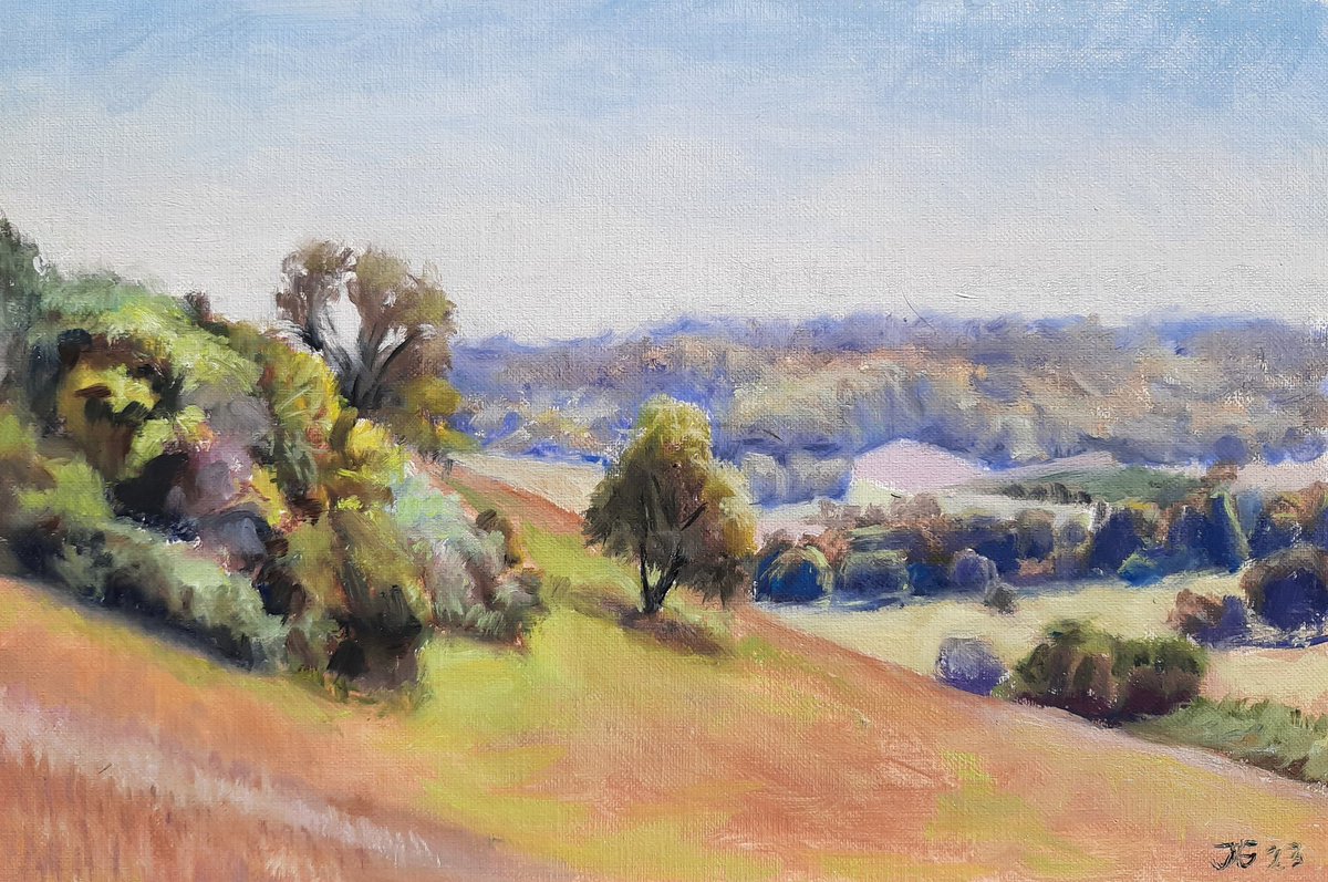 Painting the view from Turville hill this afternoon from under a tree, too hot to be out in the open. Oil on linen panel, 20 x 30 cm.
#turville #chilternsaonb #chilternhills  #landscapeoilpainting #oilpaintingonpanel #pleinair #oilpainting #landscapepainting #artwork