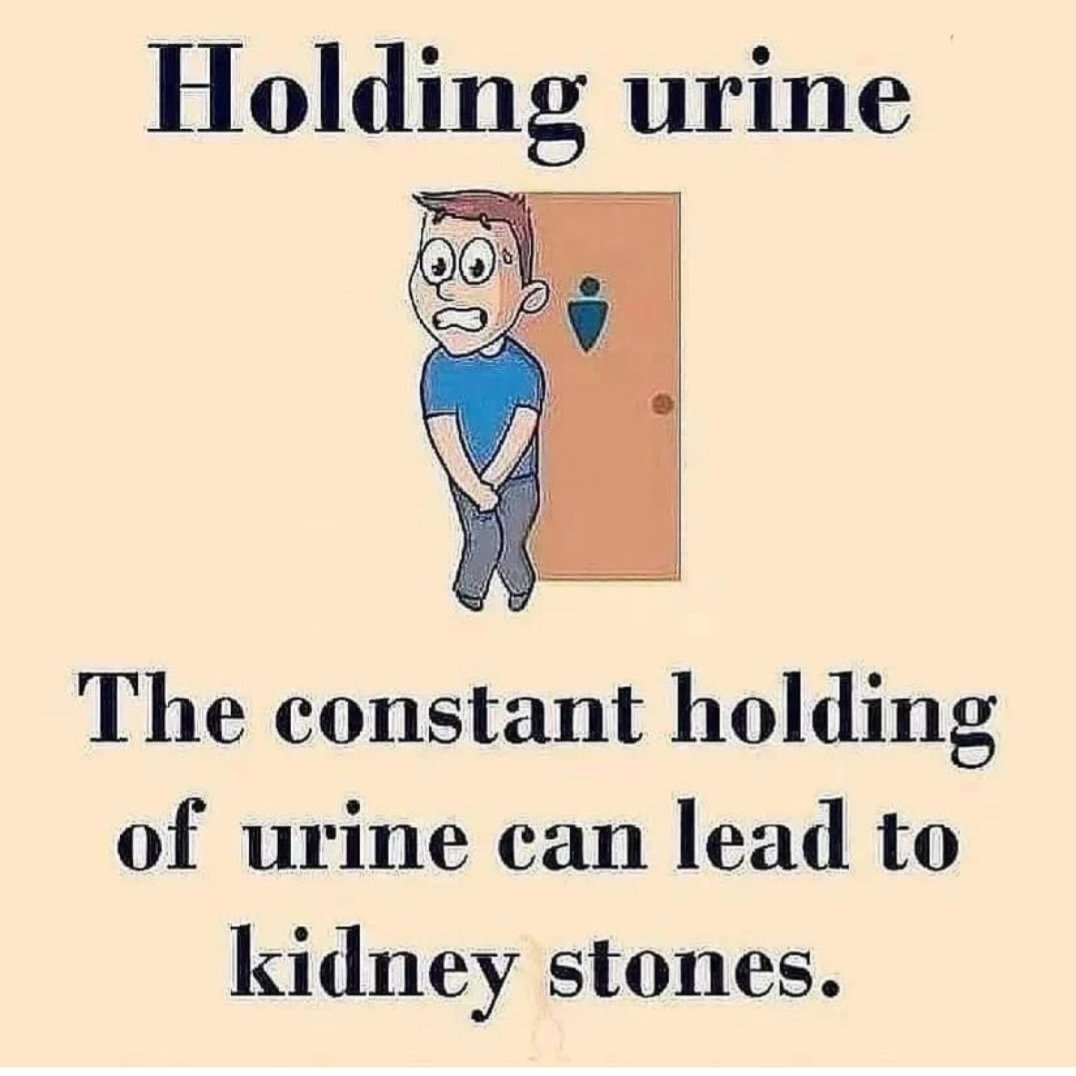 holding urine?