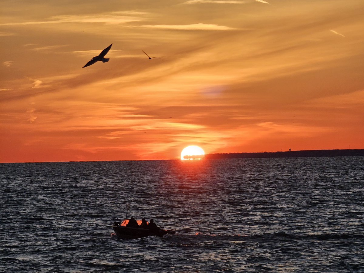 Shores & Islands Ohio tweet media