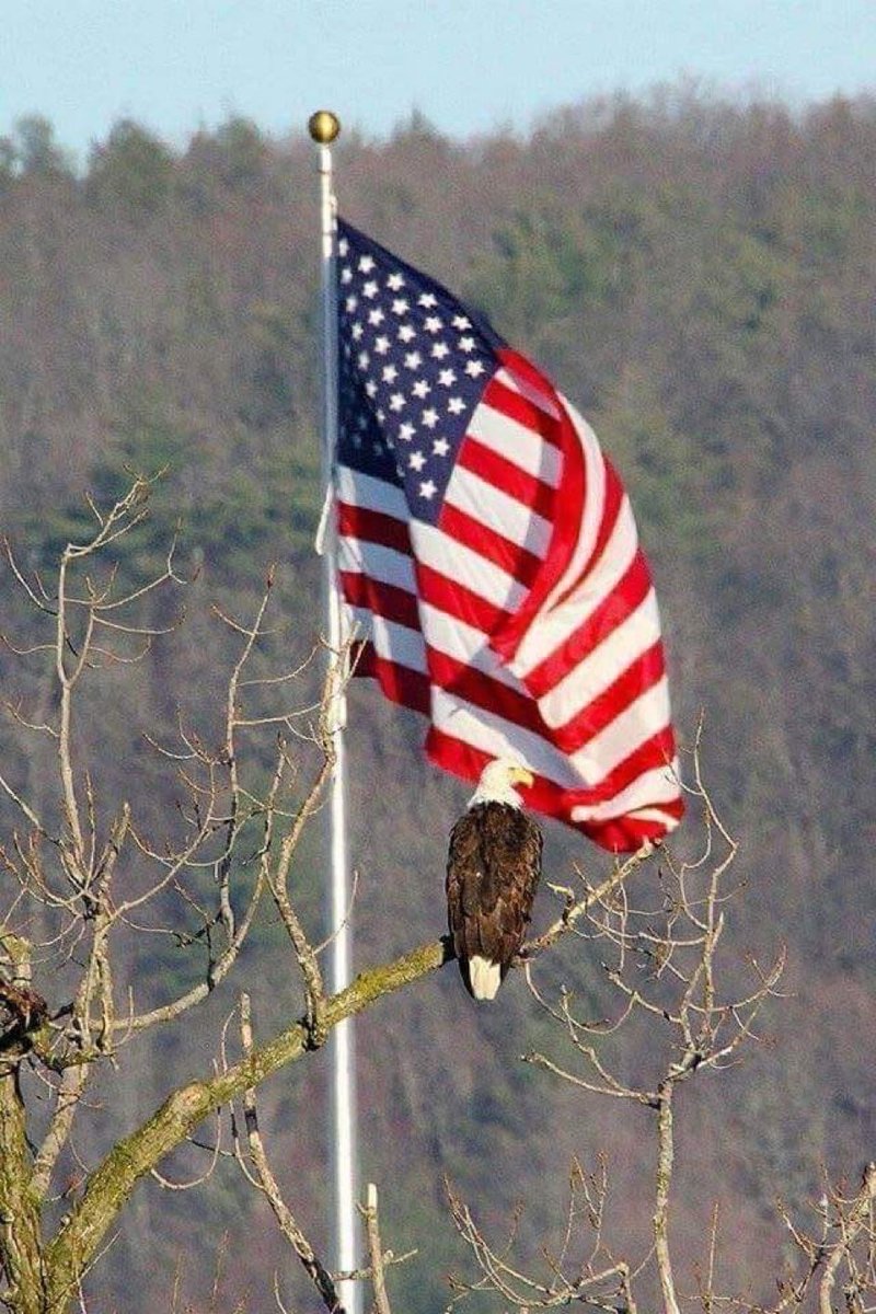SonofLiberty357's tweet photo. It’s the triple threat of awesome days:

🇺🇸 Happy Birthday President Trump

🇺🇸 Happy Flag Day

🇺🇸 Happy 248th Birthday U.S. Army https://t.co/jar8Yc1vs6