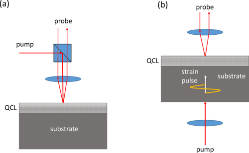Alex Valavanis tweet media