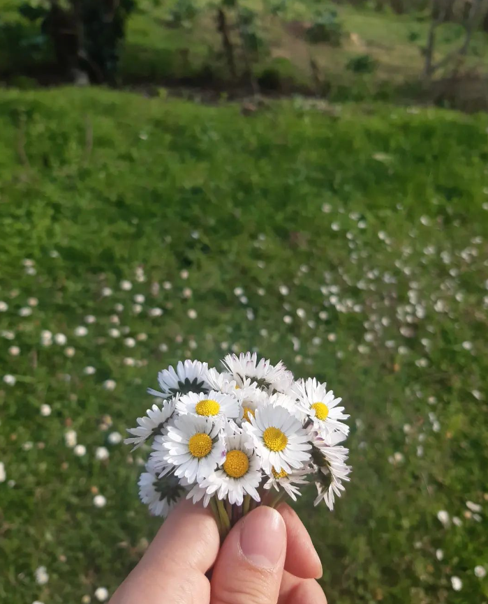 GM web3,flowers for you

Life is the art.