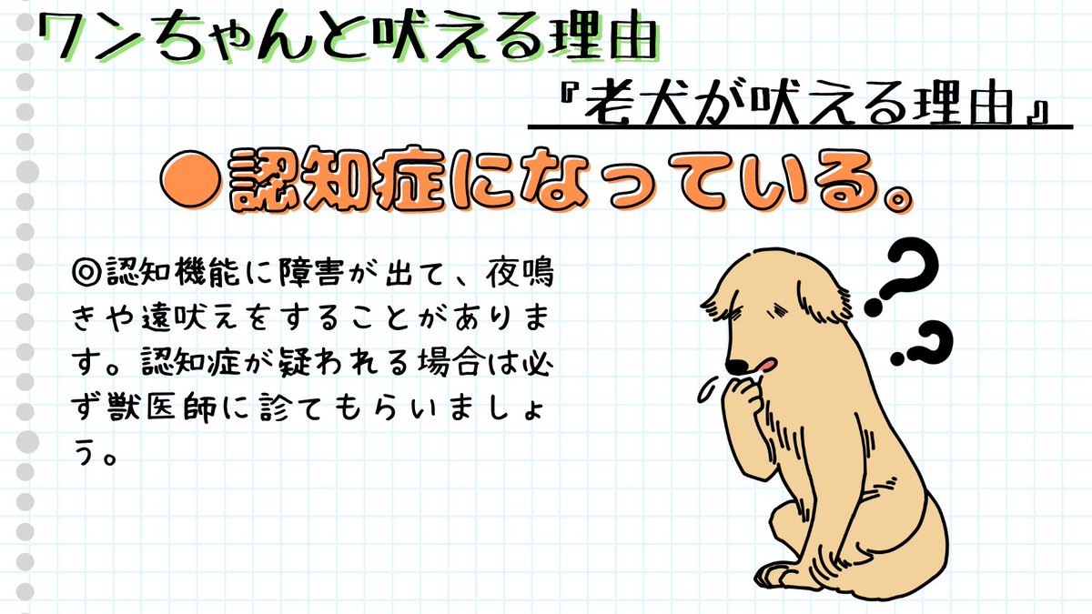 mochimaruza2ga9's tweet photo. ワンちゃんと吠える理由5⃣

⚫️老犬が吠える理由

✅痛みがある：病気やケガが原因で吠えることがある。

✅認知症になっている：夜鳴きや遠吠えをすることがある。

#犬好きさんと繋がりがりたい #犬のいる暮らし #犬のいる生活 #犬好き #犬 #吠える https://t.co/fbGSI9Gauy