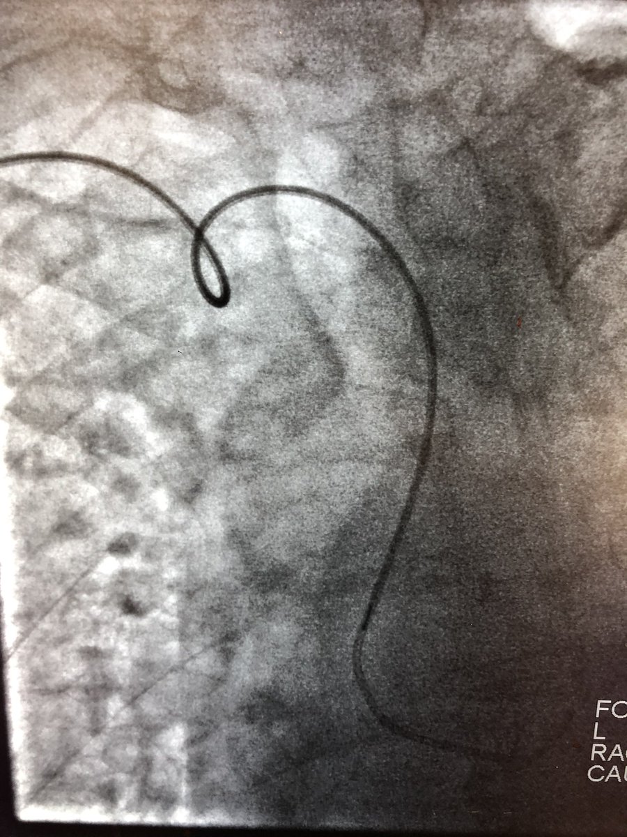 Rich_cathRT(CI)☢️ tweet media