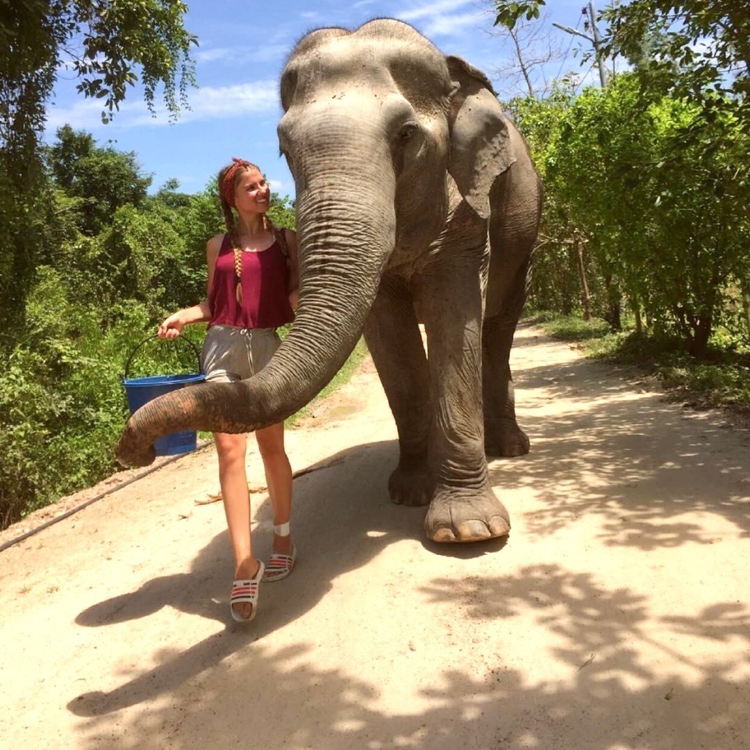 PlanMyGapYear's tweet image. Unforgettable moments with gentle giants🐘💚

#pmgy #pmgywildlife #pmgythailand #pmgyexperience #planmygapyear #grouptravel #travel #elephants