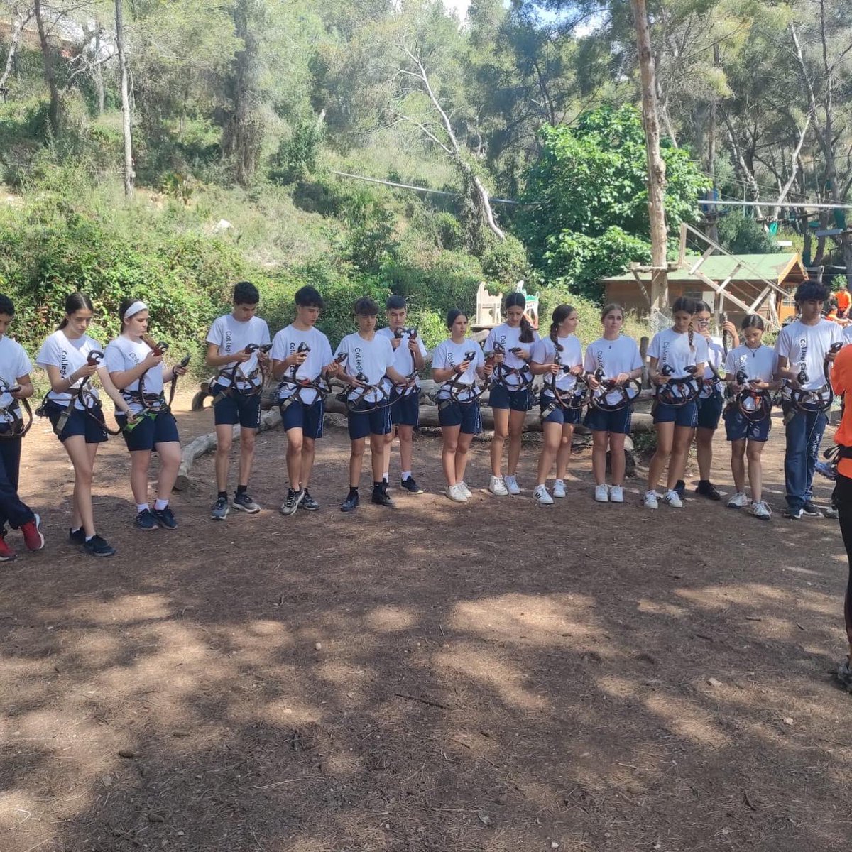 Col·legi Cami tweet media