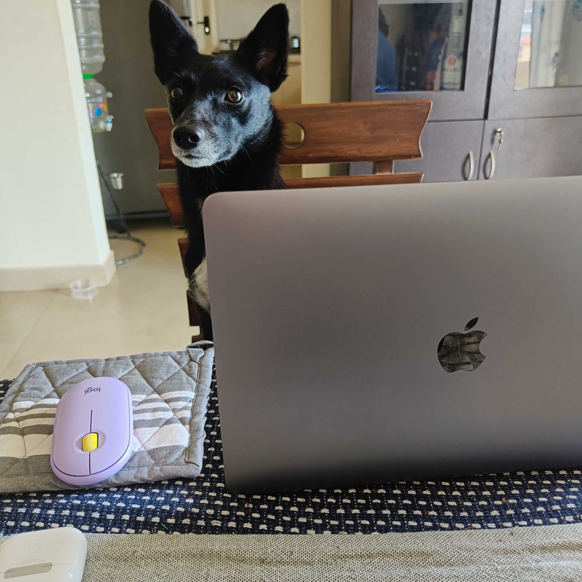FreshworksInc's tweet photo. Wait! It's not Friday yet? ๐
#LifeAtFreshworks https://t.co/DwdpfsJXXf