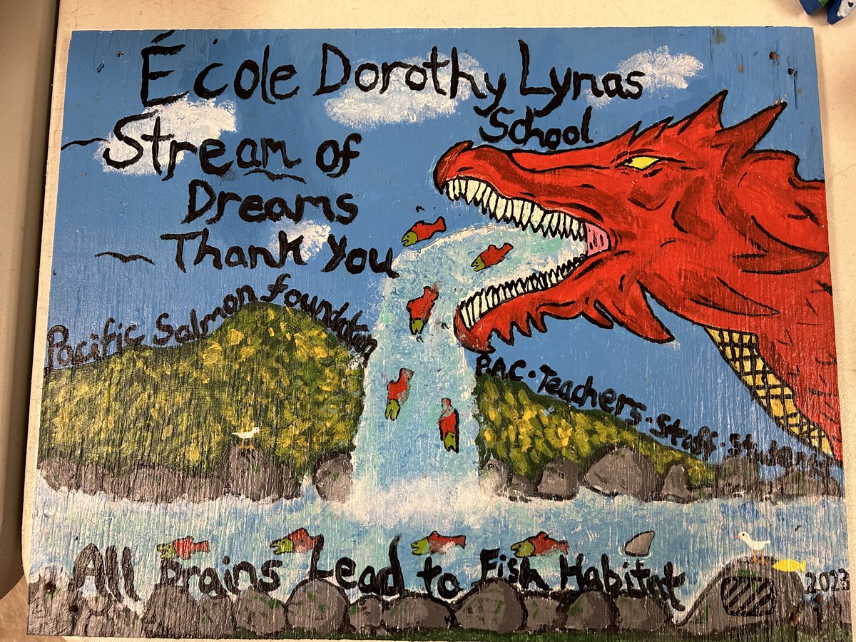 Stream of Dreams™ tweet media