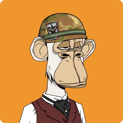 CryptoHarrie tweet media