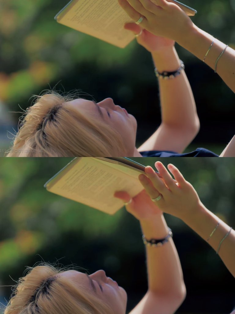 daily felix selca on Twitter "Felix Fauna and Flora 🩵💚💛"