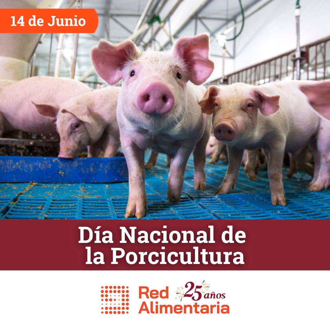 Red Alimentaria tweet media