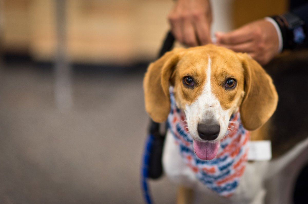 EIU Police Department tweet media