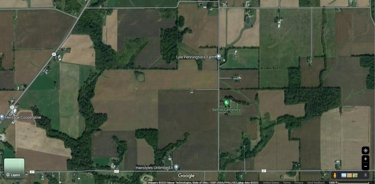 Ewan Todt tweet media