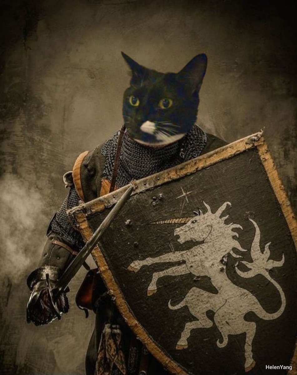 Look at me off to have amazing adventures! I’ll start by slaying the vacuum. Edit by the inimitable Helen Yang (Helen Yang Photoshops on FB). ~Wednesday 🐾 #AdoptDontShop #ExceptPhotoshop #CatsOfTwitter #PanfurSquad #KnightInShiningArmor #AccidentalRenaissancePaintings #Tuxies