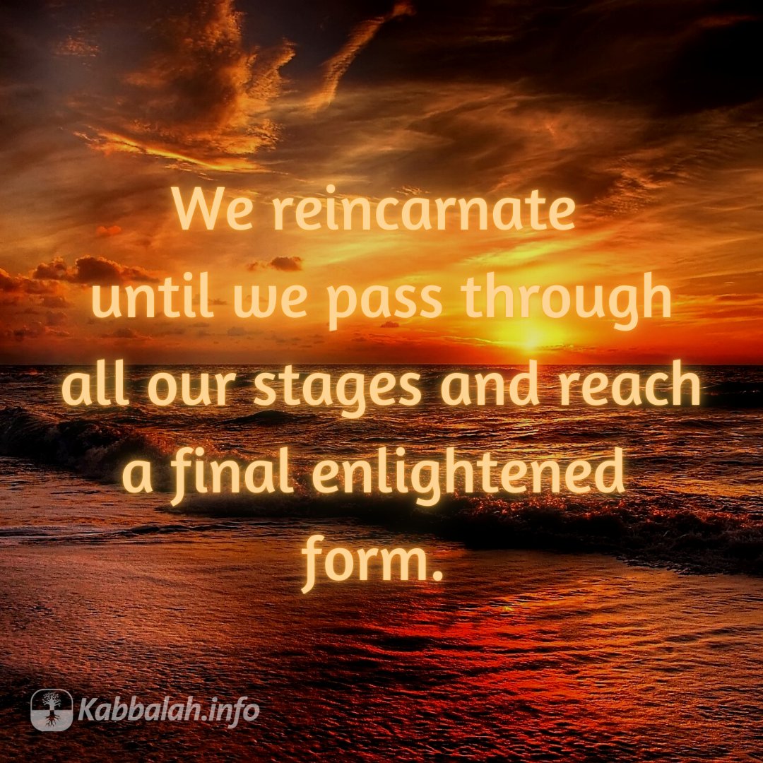 We reincarnate until we pass through all our stages and reach a final enlightened form.

#quoteoftheday #wisdomquote #spiritualquote #evolution #reincarnation #spiritualdevelopment #selfgrowth #purposoflife #finalcorrection #fullcorrection #eternity #infinity