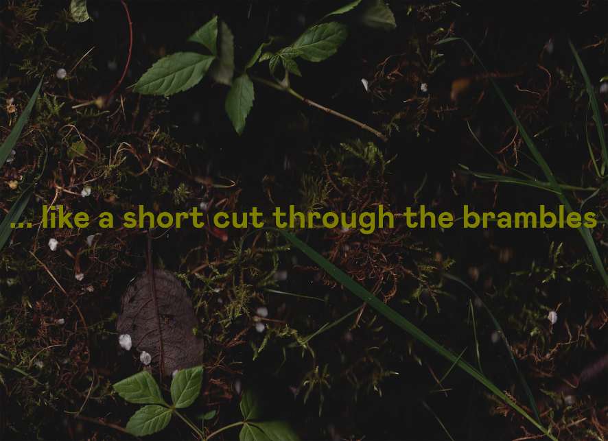 IBAoffice's tweet photo. Starting with the themes of place, the human condition &amp; their intersection, the 4th Coventry Biennial of Contemporary Art  (@CovBiennial) unfolds in galleries, historic buildings &amp; public sites: https://t.co/DihQdqomXY

#CovBiennial2023 #ThroughTheBrambles https://t.co/58r1CYe5d9