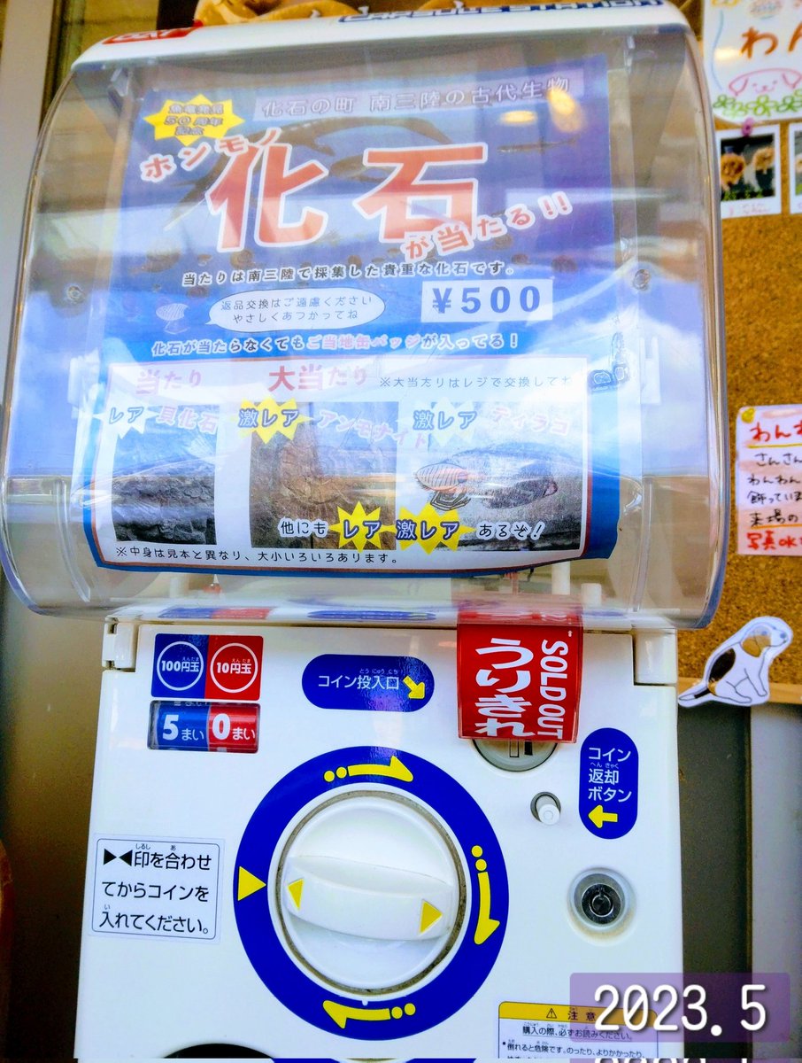 haruiuo_ch's tweet photo. #南三陸 #さんさん商店街 での先月の思い出✨◓)）
 触れる化石、
5月中旬と下旬では、置いてある位置が違いました（笑）（画像参照）
あと #化石ガチャ ◓)）
下旬は3回回して売り切れになって、けっこう人気あるんだなぁって思いました！☺️
因みに3回モノチスでした笑 #オクトパス君 #ぬい撮り 🐙✨ https://t.co/WoVy87d2Qe