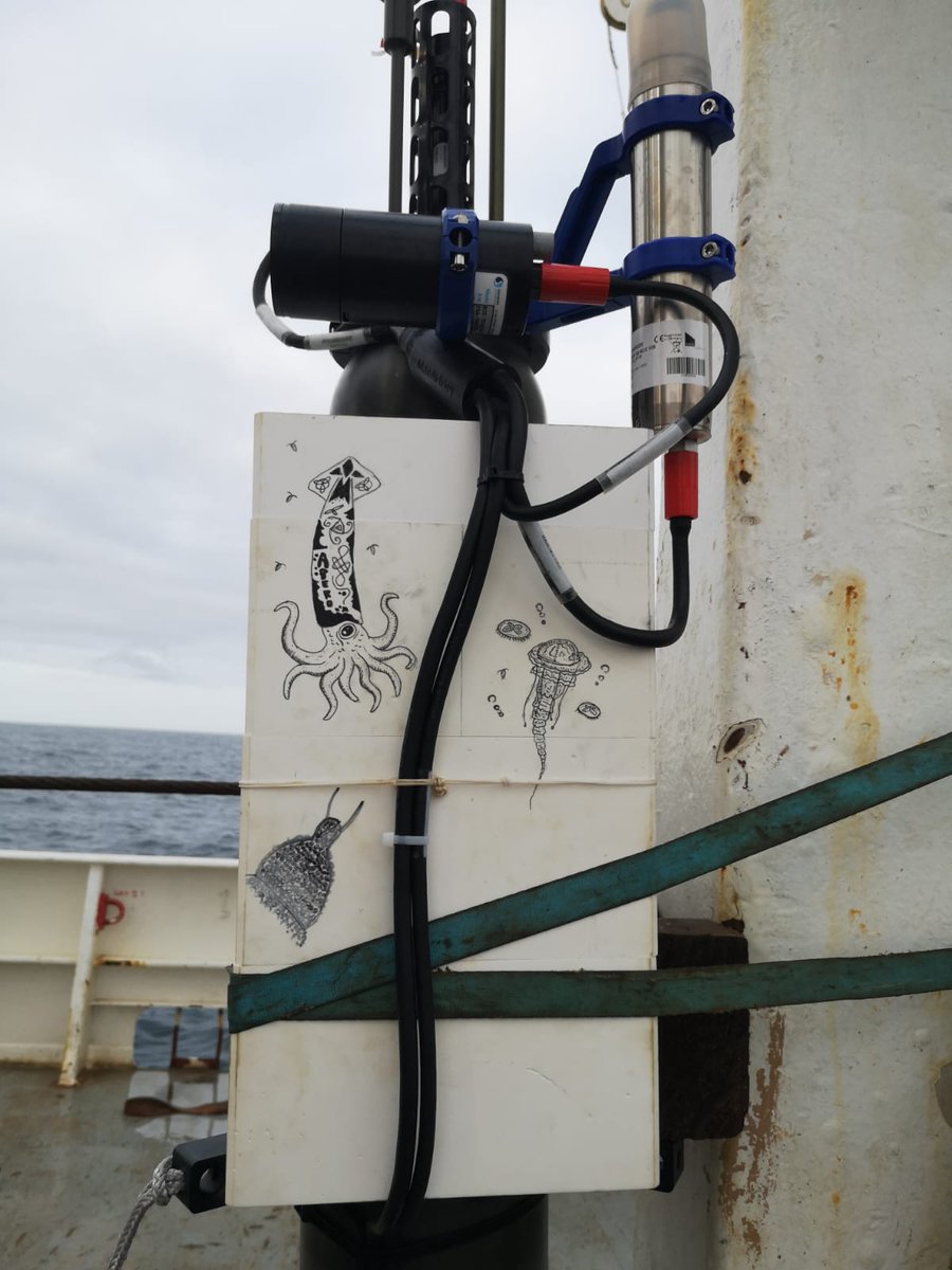 APERO_cruise's tweet photo. A bord du Thalassa 🚢 | L'ensemble de l'équipage participe à la customisation du flotteur ARGO adopté par l'école Bonneveine 2 à Marseille, dans le cadre d'@AdoptaFloat ! Et ce n'est pas fini! Coloriage en cours... 🦑🪼 🐟

Mise à l'eau prévue aujourd'hui 🎉

📸 @LionelGuidi https://t.co/54Q4jEwrbO