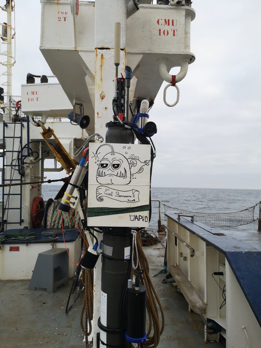 APERO_cruise's tweet photo. A bord du Thalassa 🚢 | L'ensemble de l'équipage participe à la customisation du flotteur ARGO adopté par l'école Bonneveine 2 à Marseille, dans le cadre d'@AdoptaFloat ! Et ce n'est pas fini! Coloriage en cours... 🦑🪼 🐟

Mise à l'eau prévue aujourd'hui 🎉

📸 @LionelGuidi https://t.co/54Q4jEwrbO