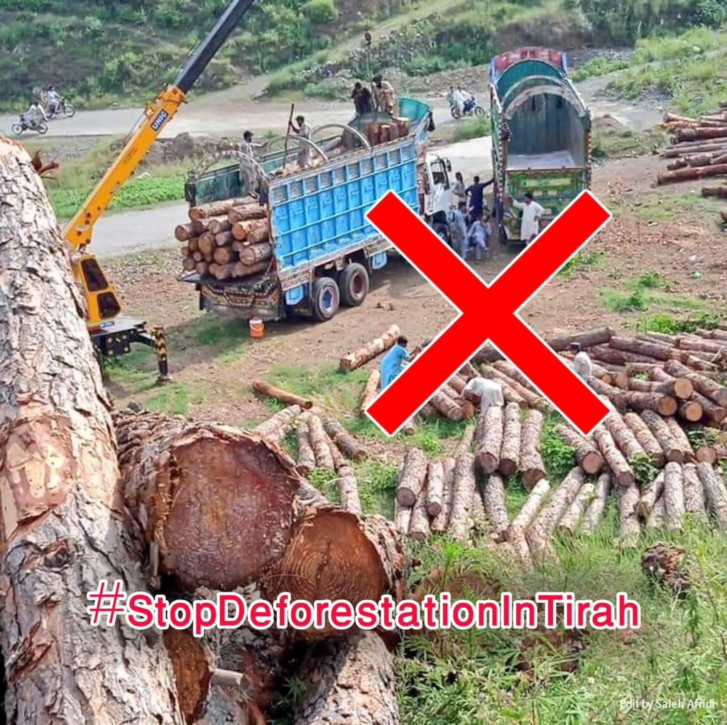 MusharafAfr_ISF's tweet photo. #StopDeforestationInTirah https://t.co/FckW5Lb7s3