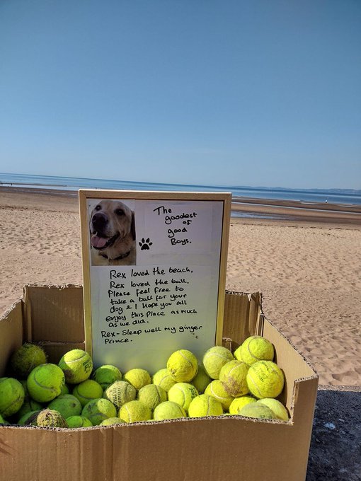 Tennis balls on Exmouth beach 