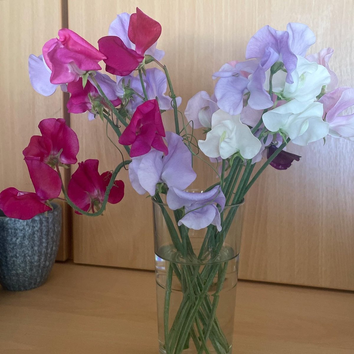 PrimaryBeaumont's tweet photo. Our wonderful Covid Memorial Garden has burst into life in the sunshine! ☀️Have a look at the beautiful blooms we are all enjoying 🌸🌼 Mrs O and Mrs P have even got a posy of homegrown sweet peas brightening up the office! https://t.co/ifII1LqpaS