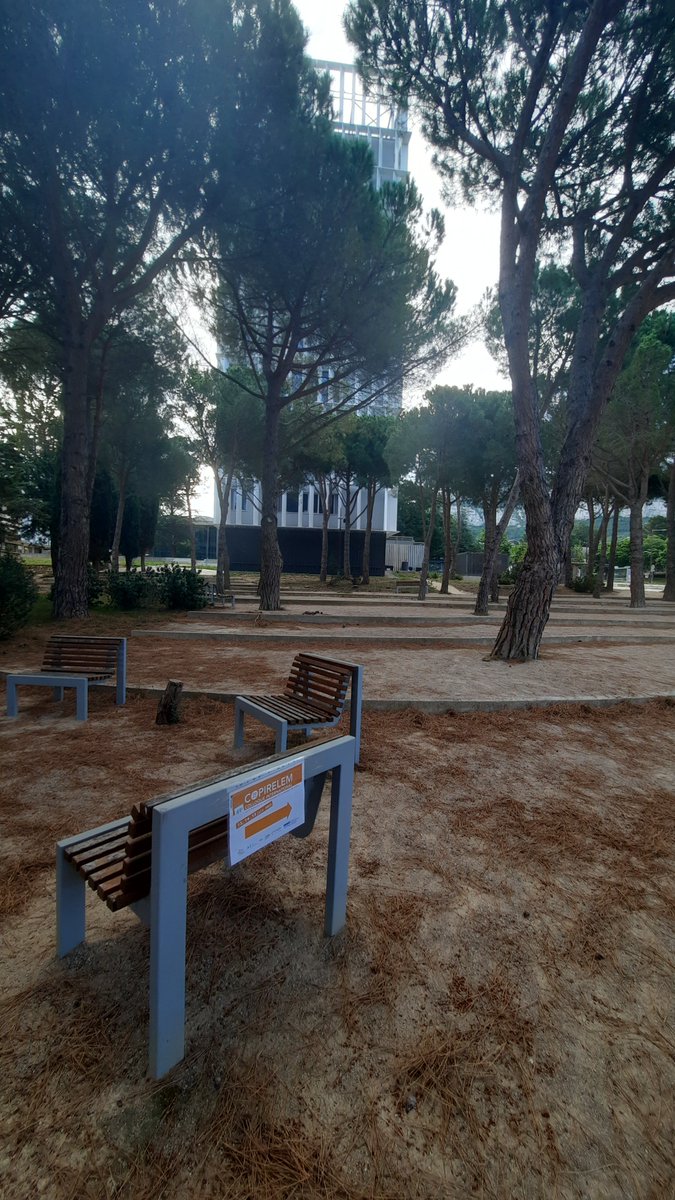 Céline Valette Enseignante spécialisée tweet media