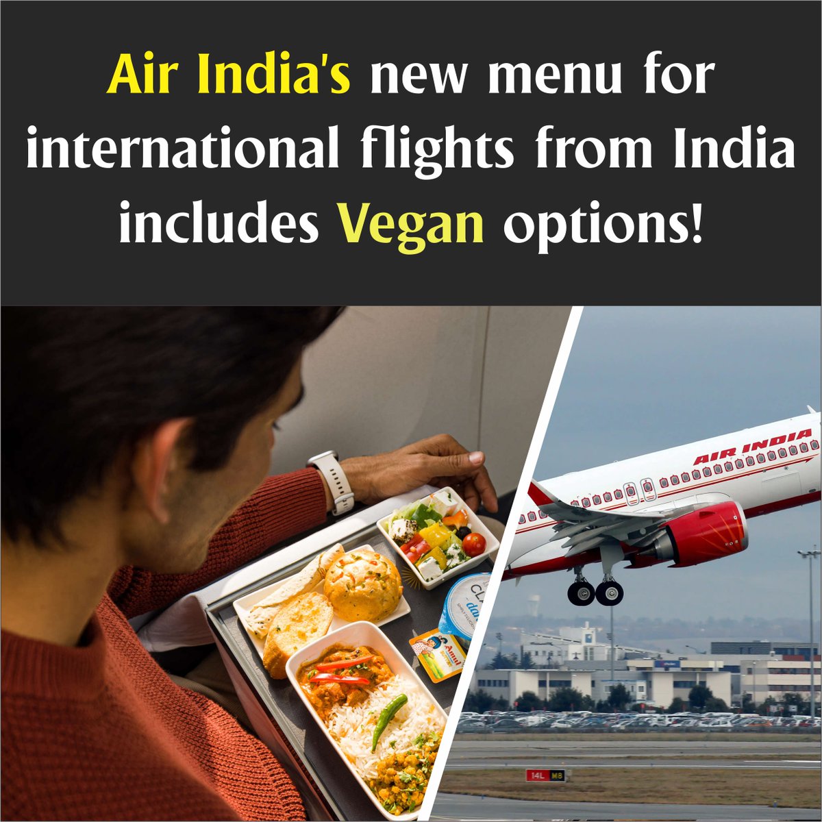 Air India has recently added Vegan options to its new menu on international flights. This update provides passengers who follow a Vegan diet with suitable meal choices during their journey.
Source: veganfirst.com/article/air-in…
.
#AirIndia #vegan #veganmenu #veganmeals #vezlayfoods