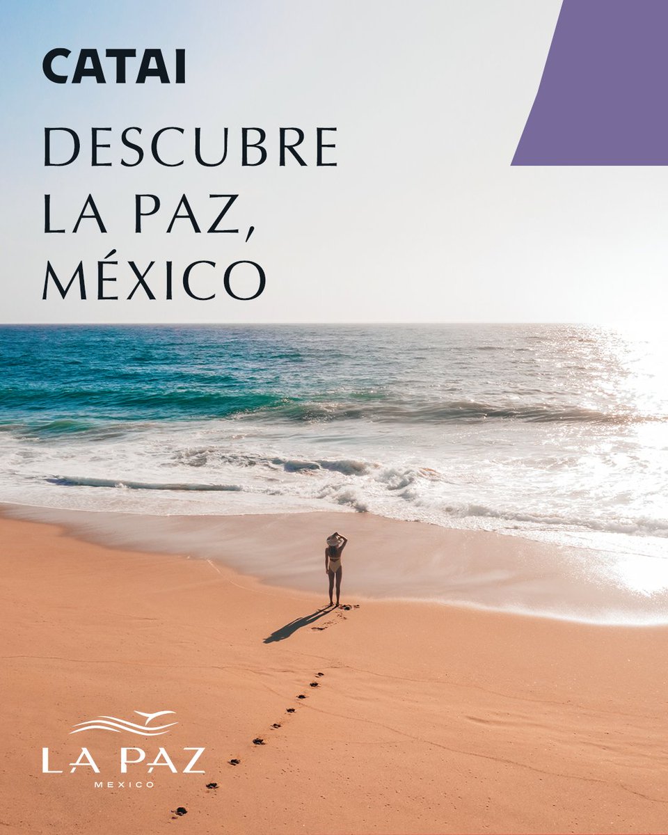 cataitours's tweet photo. La Paz-México, es el lugar donde el mar se une con el desierto para crear los paisajes más bellos que los amantes de la naturaleza sean capaces de imaginar. 

#lapazbcs #visitmexico @VivaLaPazNet @PureLaPaz 

https://t.co/2kKFEHIJsY https://t.co/oygji2Iqzc